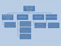 /album/esquema-general/diapositiva1-jpg1/