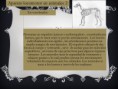/album/aparato-locomotor/diapositiva3-jpg/