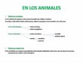 /album/relacion-en-animales/diapositiva2-jpg3/