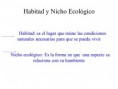 /album/terminos-ecologicos/diapositiva1-4-jpg/